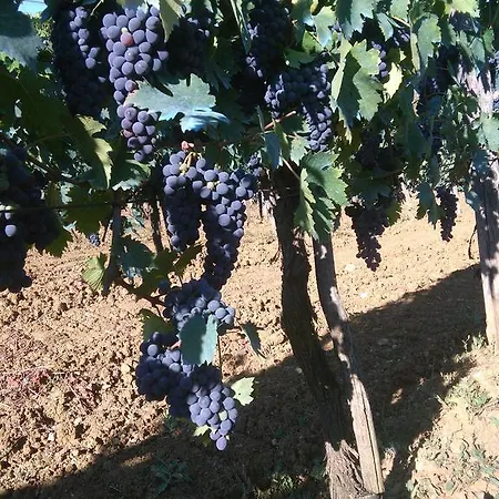 Casa Ai Carfini