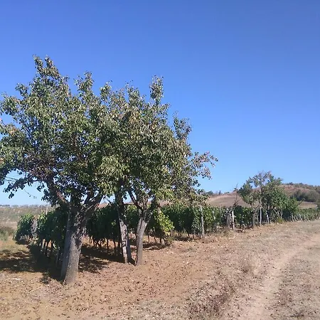 Country house Casa Ai Carfini