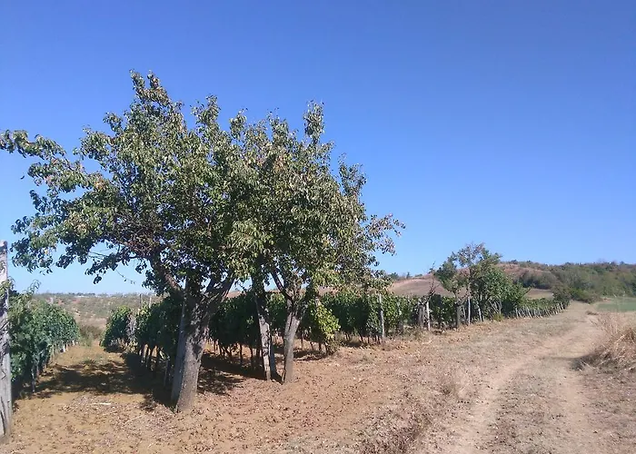 컨트리하우스 Casa Ai Carfini